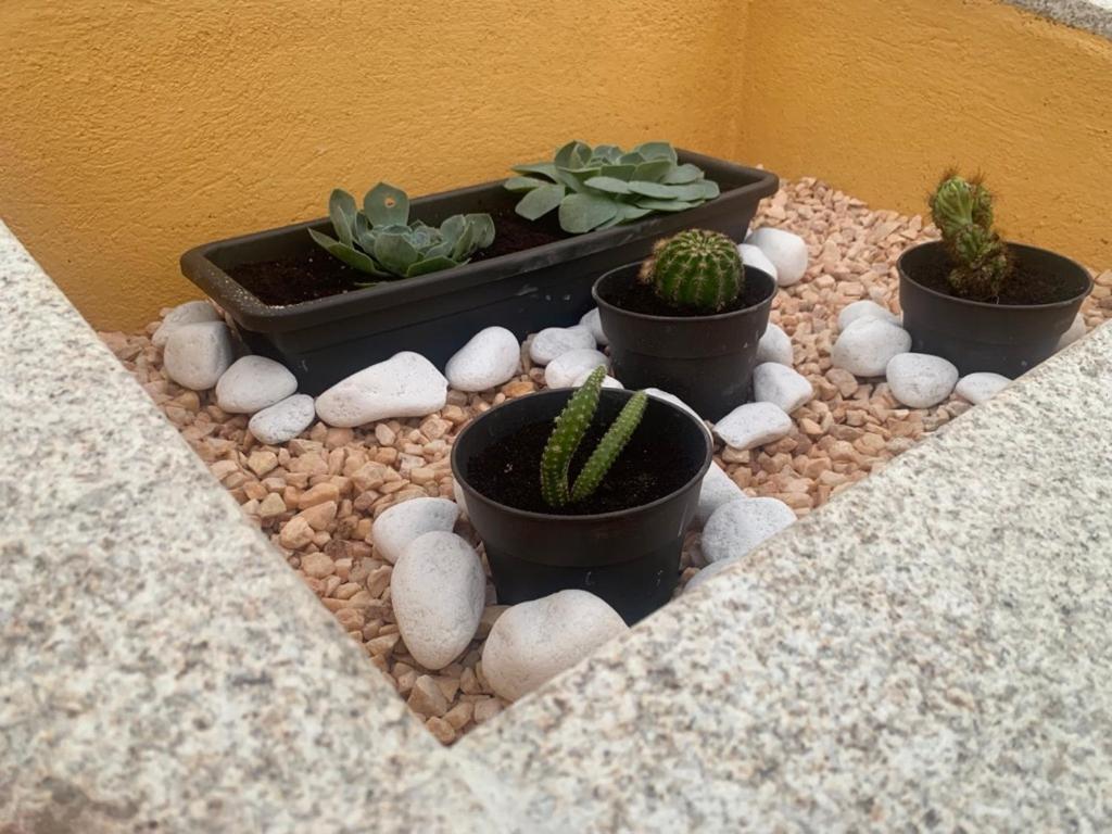 Casa De Piedra, A Lameira Ла Коруня Екстериор снимка